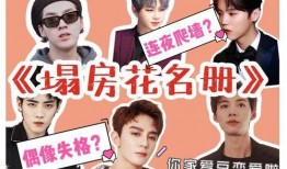 哔哩哔哩 明星黑料在哪找,明星黑料搜集全攻略