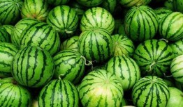 今日吃瓜每日必吃,每日必吃，揭秘娱乐圈新鲜事